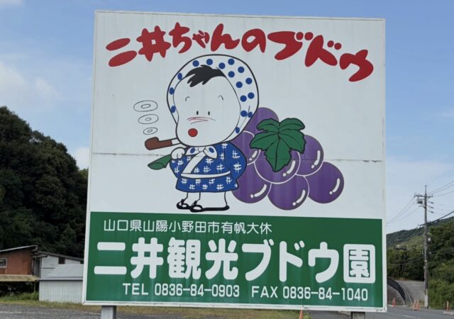 二井観光ブドウ園3