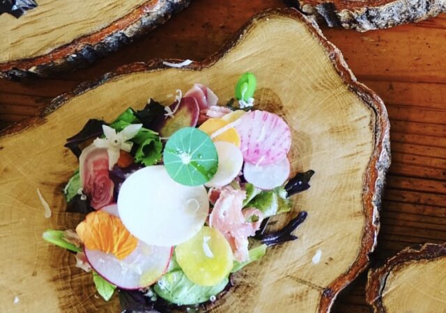 La Tierra（ラ・ティエラ）4