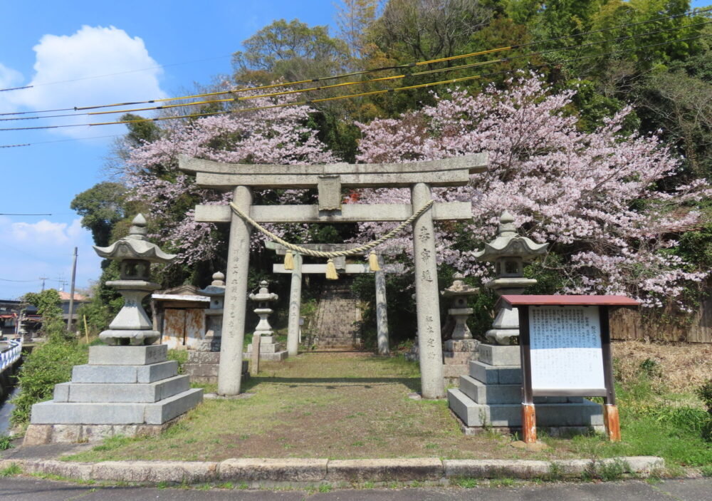 松江八幡宮(まつえはちまんぐう)1