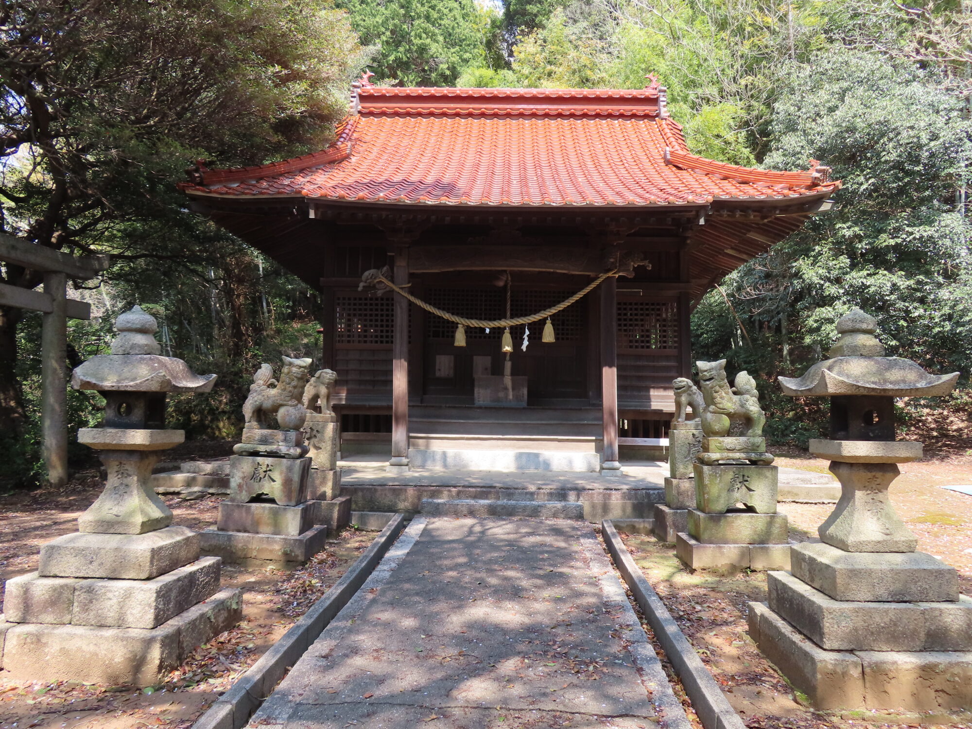 S*S様 赤蝦夷松八房 松江八幡宮（まつえはちまんぐう） | さんようおのだ観光ナビ