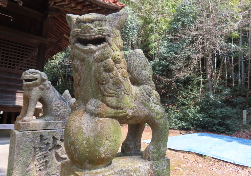 松江八幡宮(まつえはちまんぐう)6