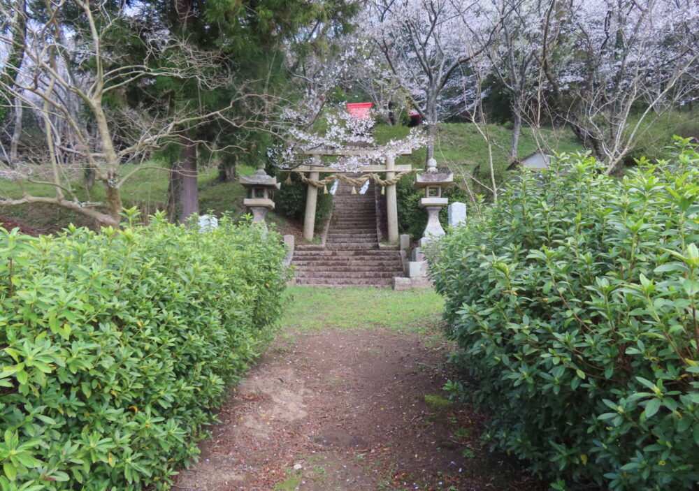 杵築神社1