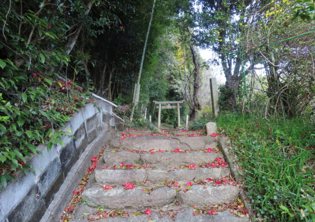 翠神社4