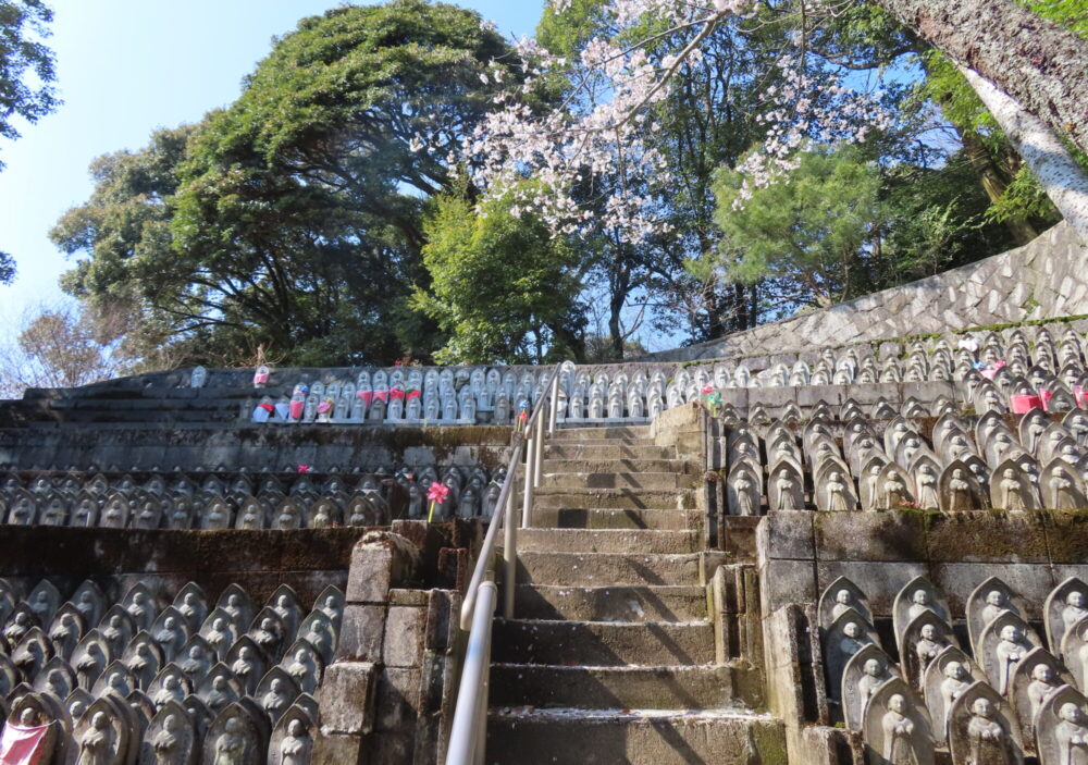 熊野神社（菩提寺山）9