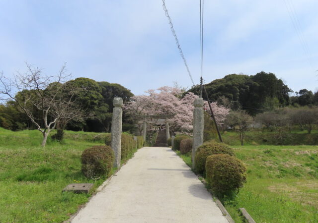 惣社八幡宮2