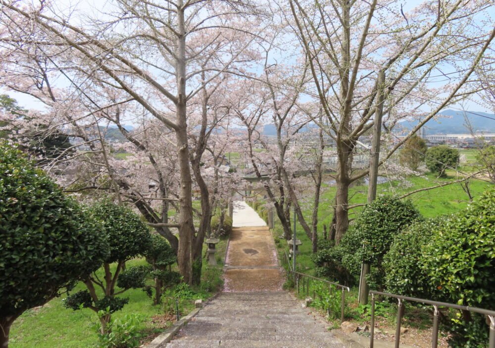 惣社八幡宮12