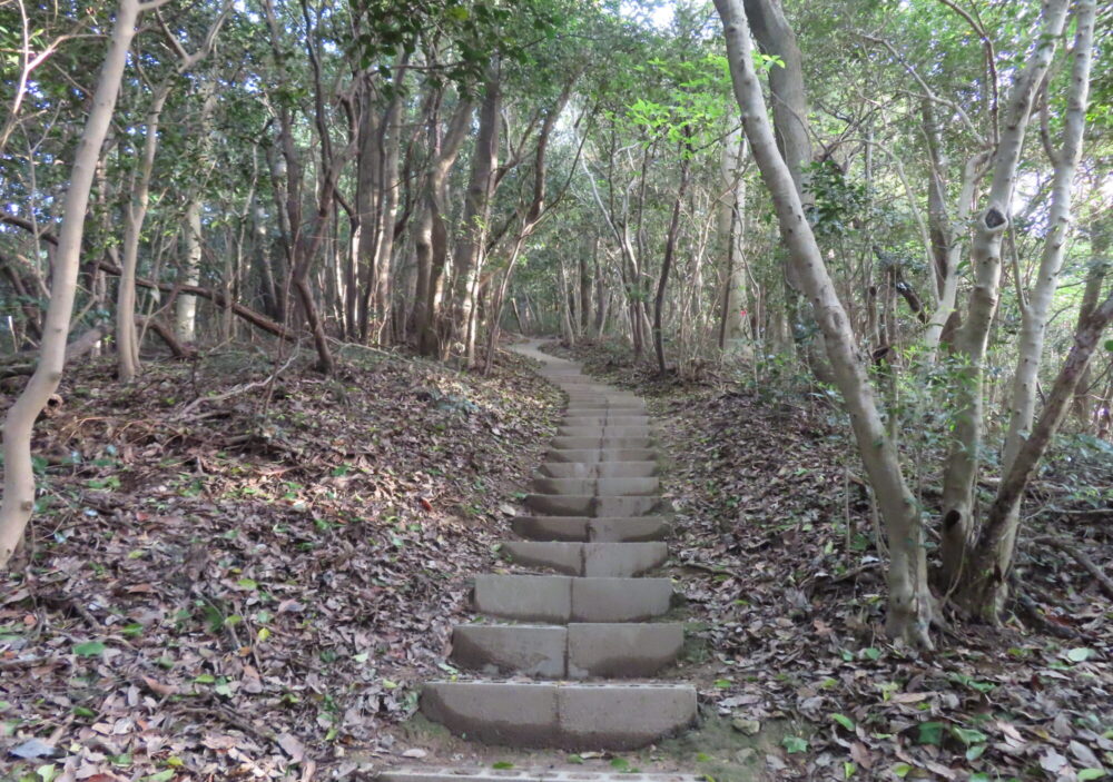 八大竜王宮 _竜王山稲荷大明神11