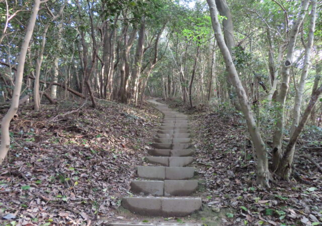 八大竜王宮 _竜王山稲荷大明神11