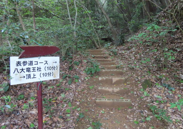 八大竜王宮 _竜王山稲荷大明神10