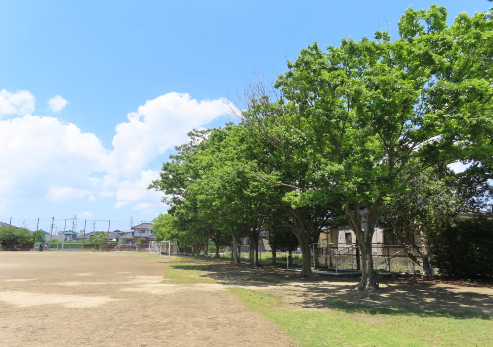 浜河内緑地公園2