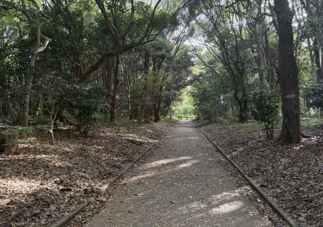 浜河内緑地公園2