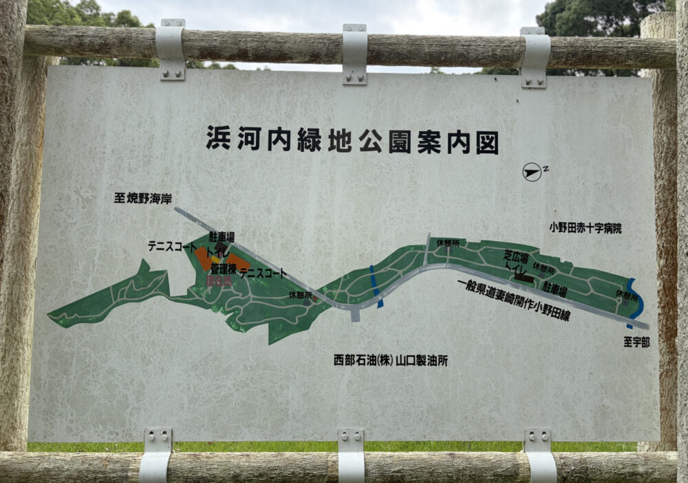 浜河内緑地公園5