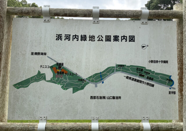 浜河内緑地公園5
