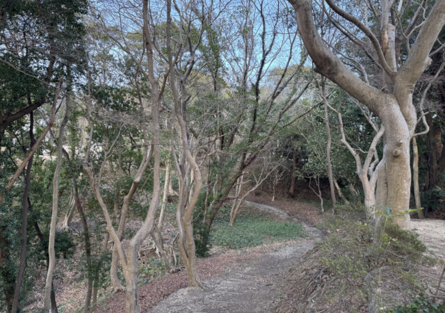 笠井順八翁像(山陽小野田市名誉市民)12