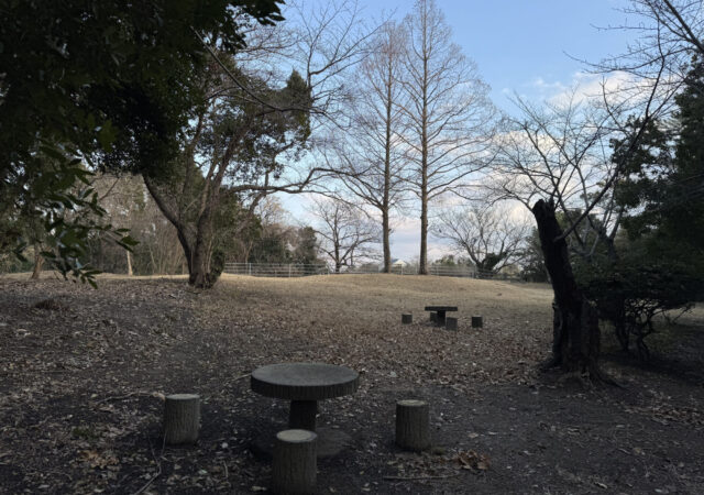 笠井順八翁像(山陽小野田市名誉市民)8