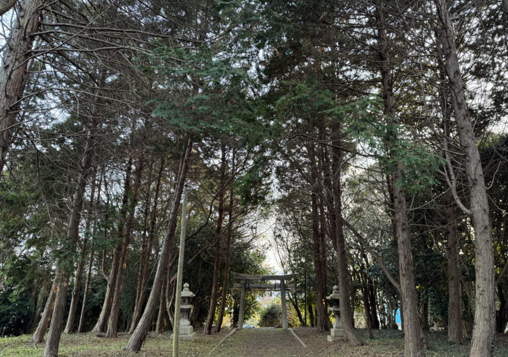 當島八幡宮(とうしまはちまんぐう)9