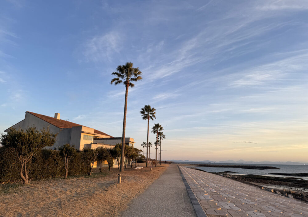 きららビーチ焼野8