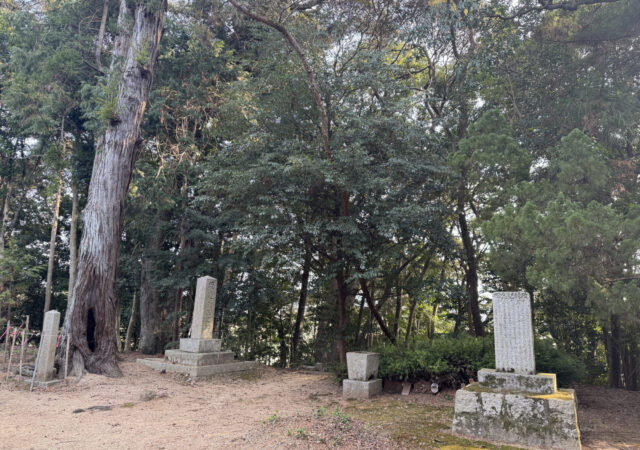山野井八幡宮12