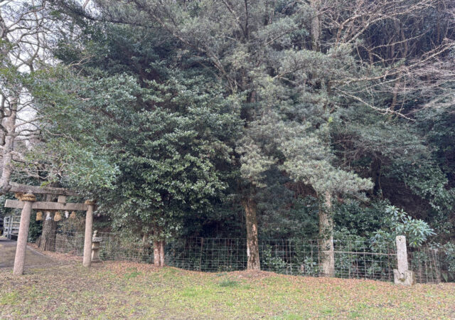 河内神社(山野井)3