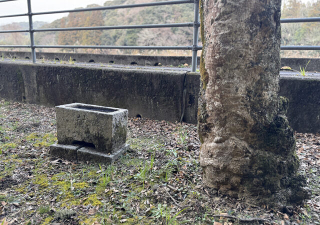 河内神社(山野井)8