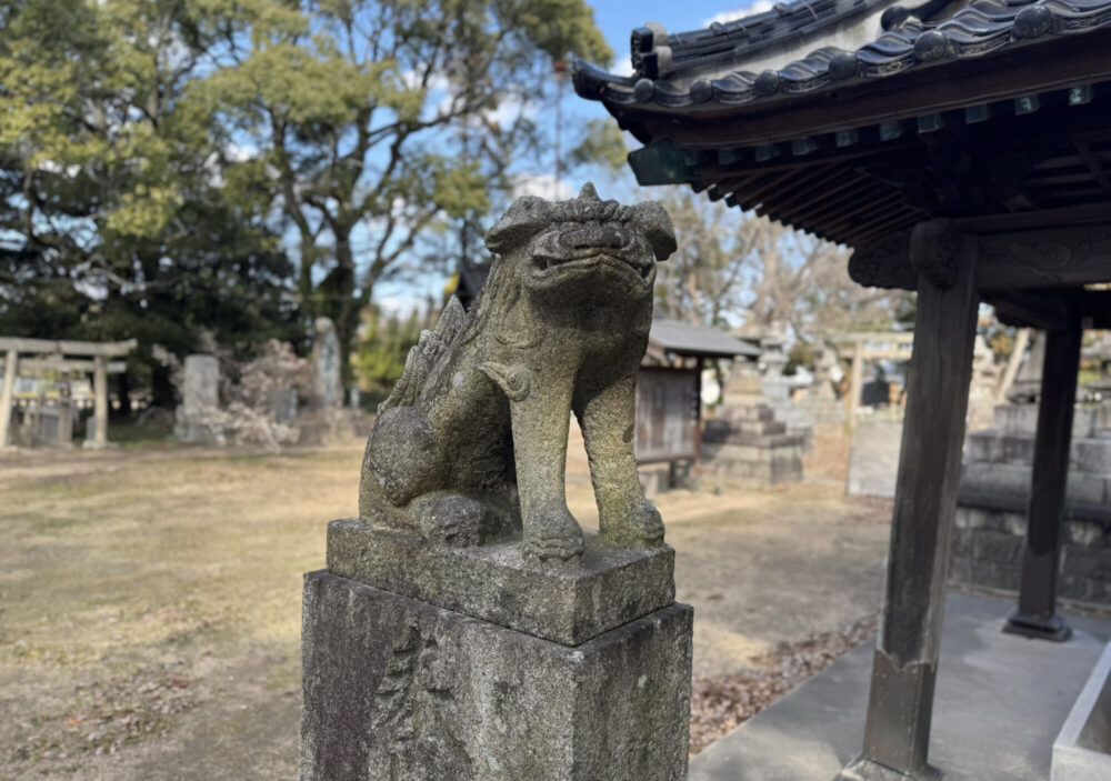 赤嵜神社（あかさきじんじゃ）8