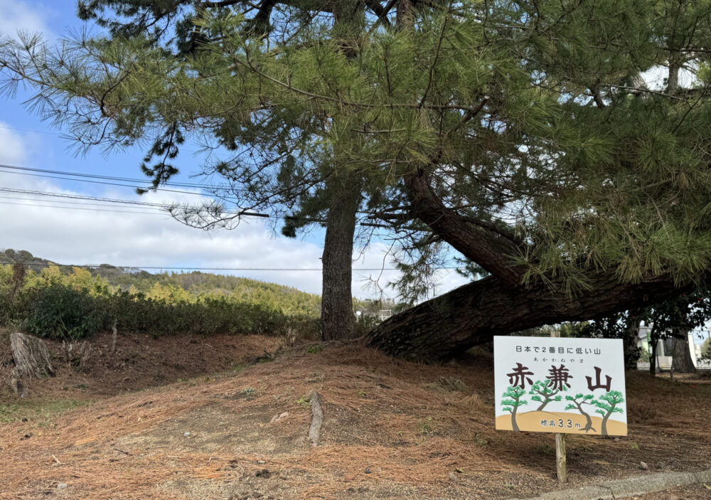 糸根の松原【青年の家】5