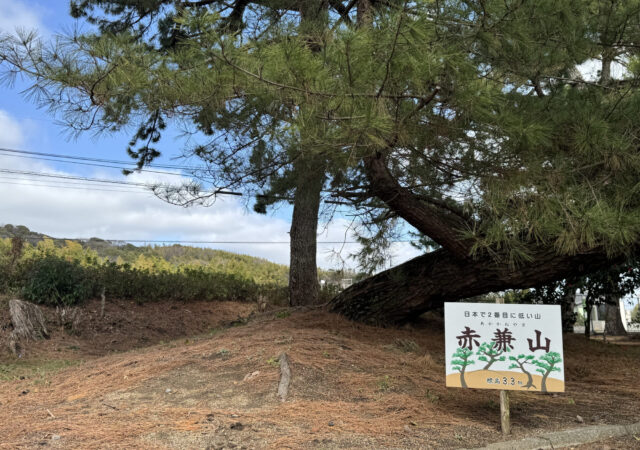 糸根の松原【青年の家】5