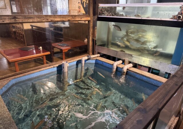 活いか・活魚料理　若新6