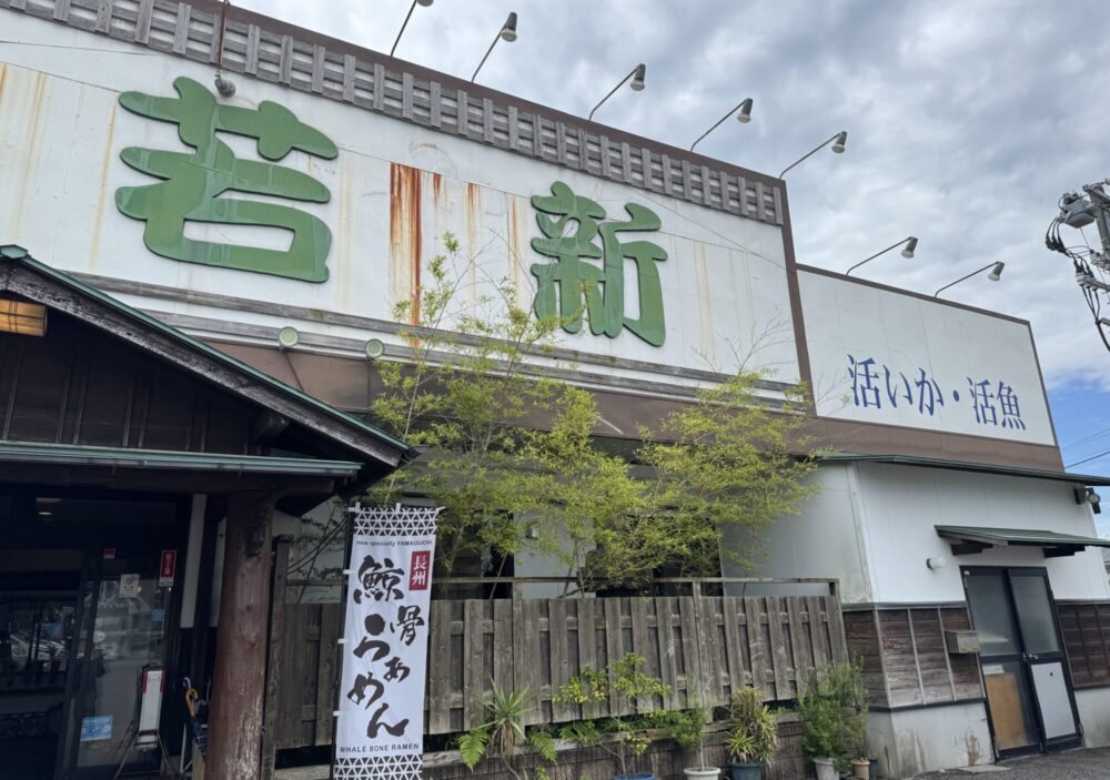 活いか・活魚料理　若新3