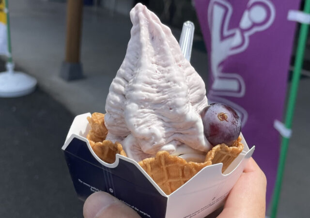 二井観光ブドウ園5